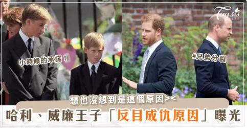 哈利王子首次公開跟哥哥威廉「反目成仇」原因！皇室操弄新聞、梅根太受矚目，竟然還有這層因素？！